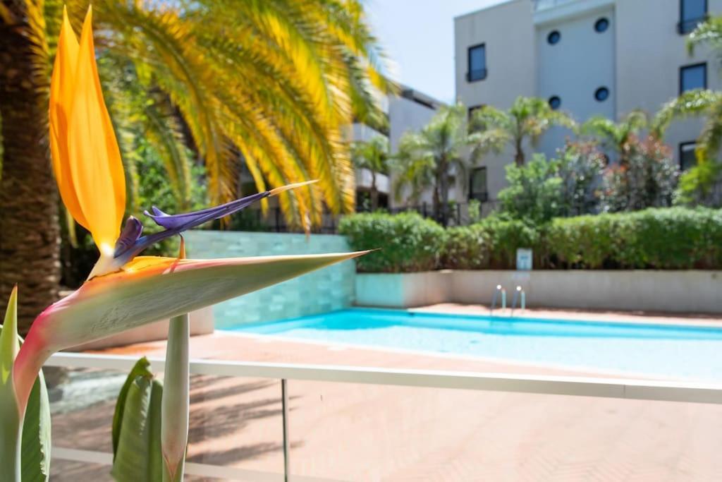 C2 - 2 Bdr Montfleury - Pool, Garage, Terrace & Ac * Cannes